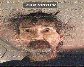 File:Eak Spider SSTV.jpg