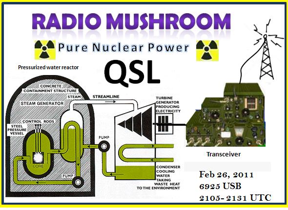 Radio Mushroom QSL No 11.jpg
