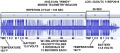 4102 Morse Beacon Windy Telemetry Timing.jpg