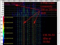 CIS 50 50.jpg