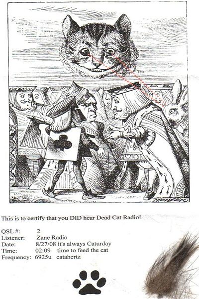 File:DCR1 QSL Zane.jpg