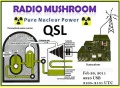 Radio Mushroom QSL No 11.jpg