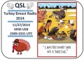 Turkey Breast Radio.jpg