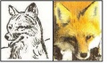 Thumbnail for version as of 22:12, 27 February 2011