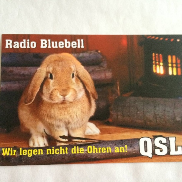 File:Bluebell.jpg